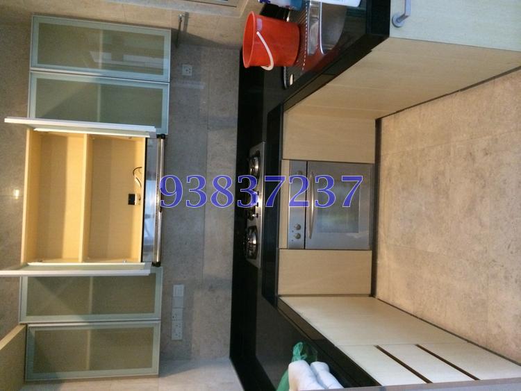 Sommerville Regency (D13), Terrace #87990672
